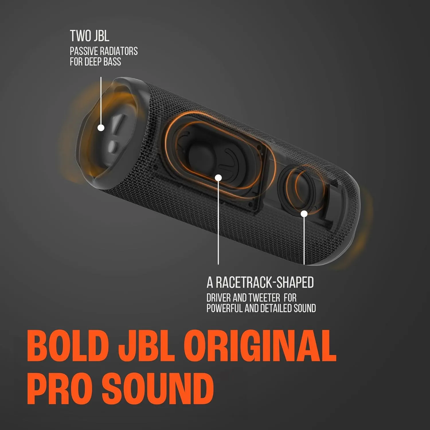 JBL Flip 6 (Black)   Bundle with divvi! Protective Hardshell Case