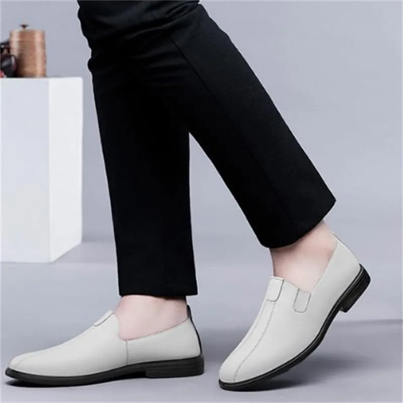 Men's Slip-on Loafers Shoes Casual Oxford Shoes for Men Pointed Toe Low Heel Comfortable Breathable Non-Slip wear-Resistant Soft-Soled Business Shoes