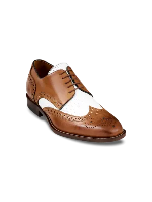 Morris Derby - Chestnut/white